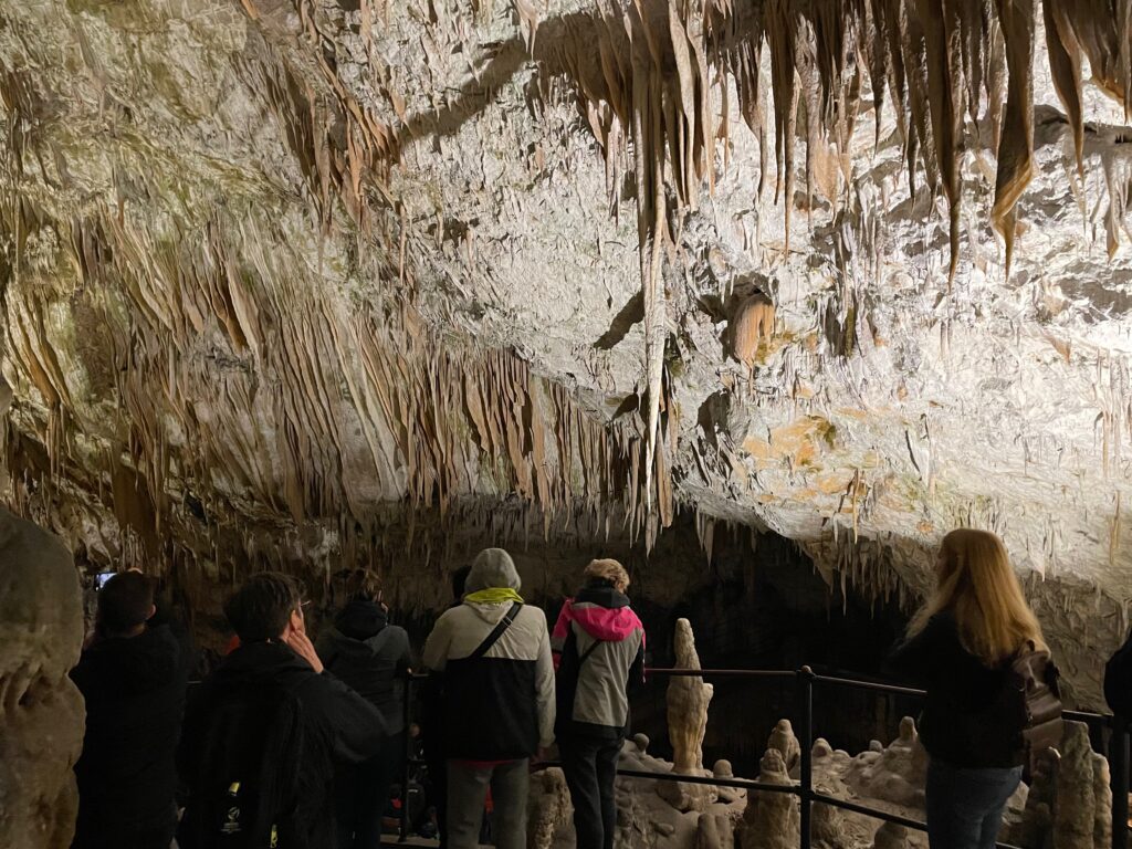 Postojna Cave Underground Wonders