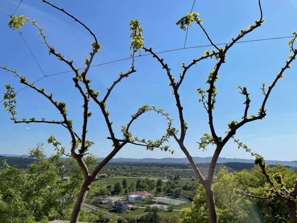 Scenic Karst Region Landscape